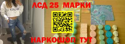a pvp Камышлов
