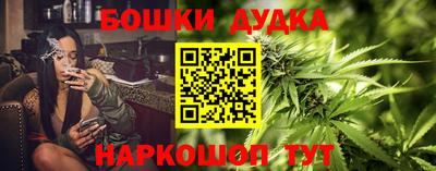 a pvp Камышлов
